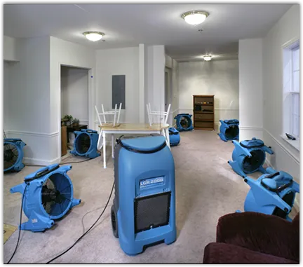Basement Flood Cleanup in Pleasant Garden, NC