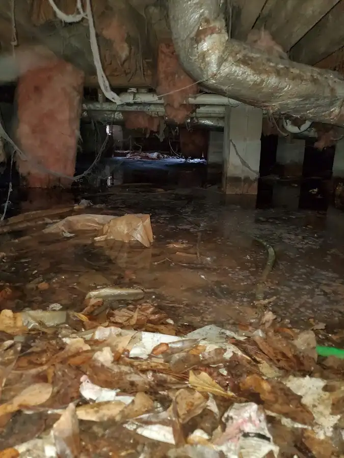 Crawl space flood assessment for Commercial Water Damage Restoration in Pleasant Garden