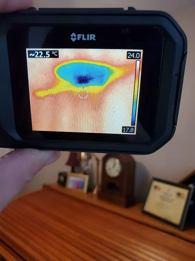 Thermal imaging inspection for water damage in Pleasant Garden